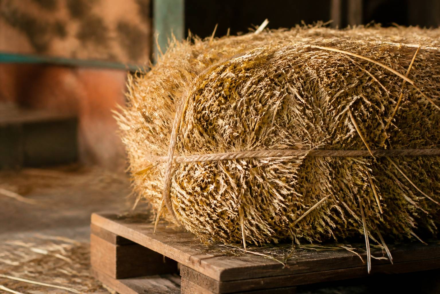 Fibres de paille et de foin avec une botte liée posée sur une palette